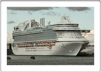 EMERALD PRINCESS     9333151 